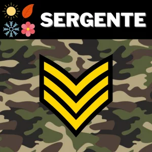 3 - M.W.S. Allenamento Sergente - (Pacchetto Stagioni)