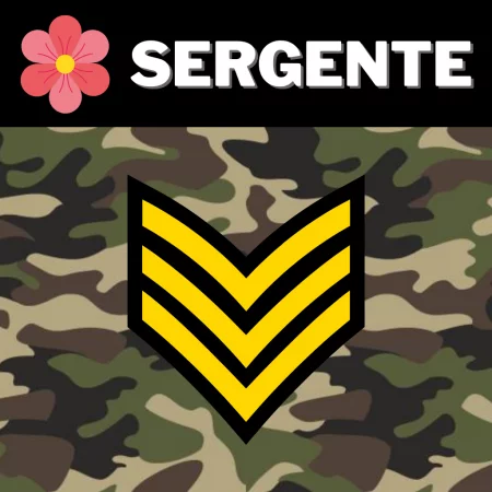 3 - M.W.S. Allenamento Sergente - PRIMAVERA