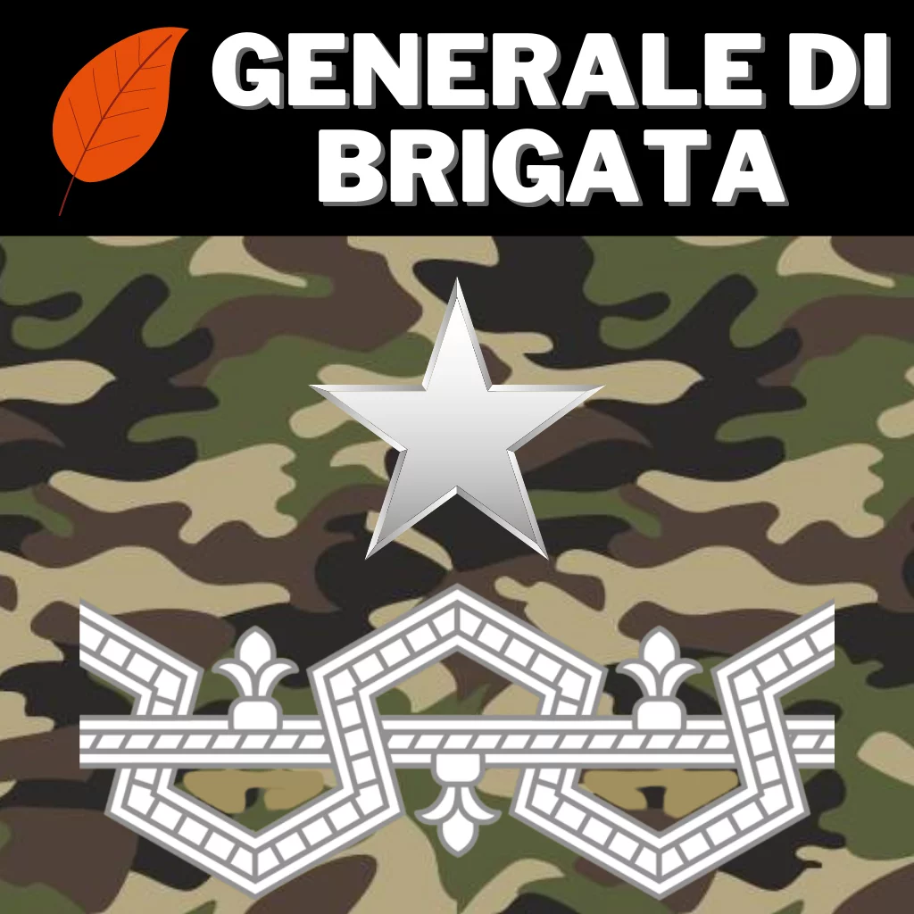 8 - M.W.S. Allenamento Generale di brigata - AUTUNNO