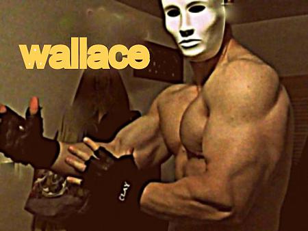 Master Wallace solo per te il tuo personal trainer dal vivo!