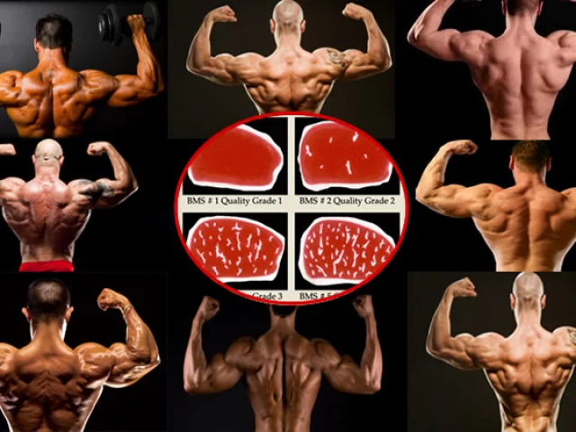 Guida alla perfetta dieta del bodybuilder: come dimagrire e fare massa