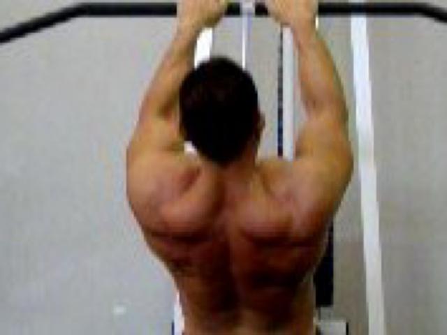 Lo sviluppo dei muscoli dorsali e della schiena senza doping