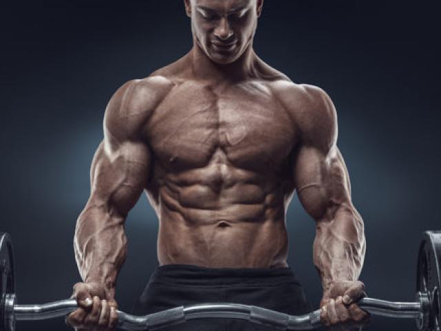 Le fibre muscolari e quale tipo di allenamento fare