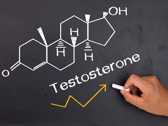 Cosa sono gli integratori di testosterone?