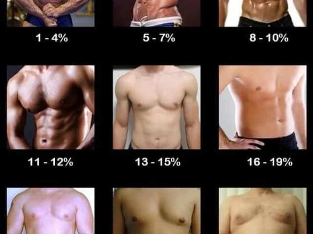 Quale percentuale di grasso corporeo per vedere gli addominali?