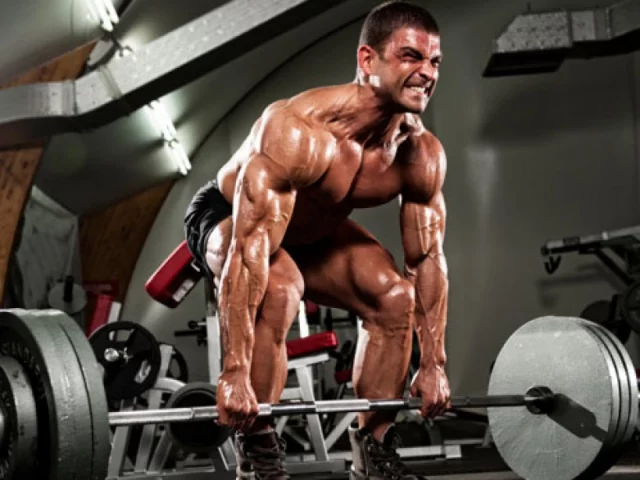 Quanta massa muscolare si può mettere in un anno in modo naturale?