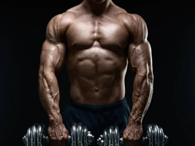 Le ripetizioni nel bodybuilding: quante e con quali carichi?