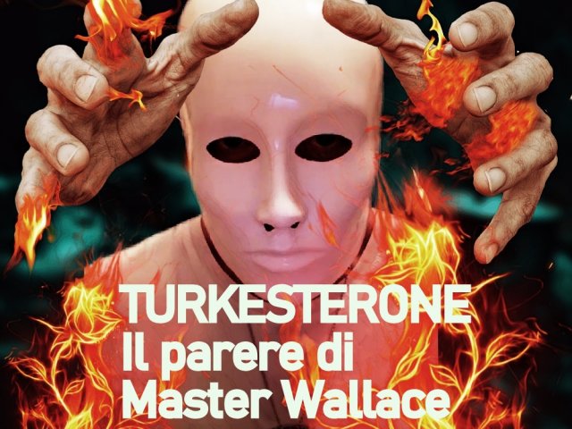 Turkesterone il parere di Master Wallace Video